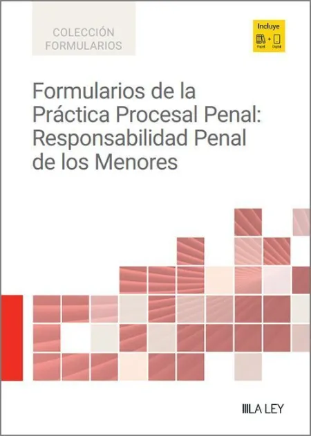 Formularios de la Practica Procesal Penal: Responsabilidad Penal de los Menores