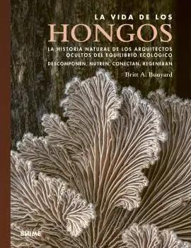 Vida de los Hongos