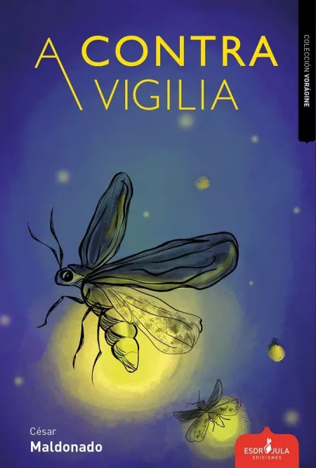 A Contravigilia
