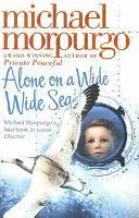 Alone On a Wide Wide Sea