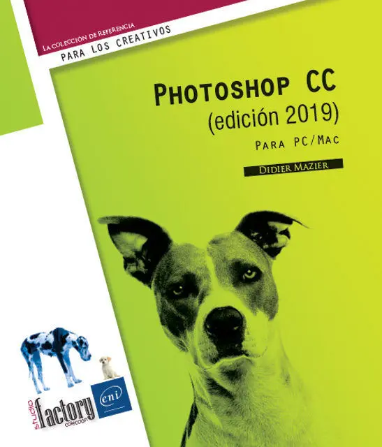 Photoshop Cc (Edición 2019) - para Pc/Mac