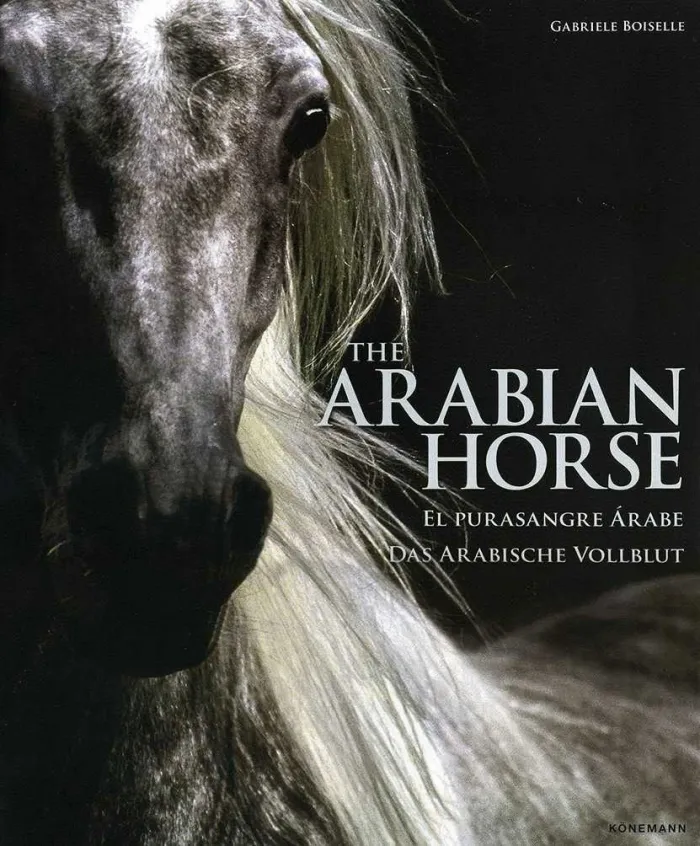 The Arabian Horse