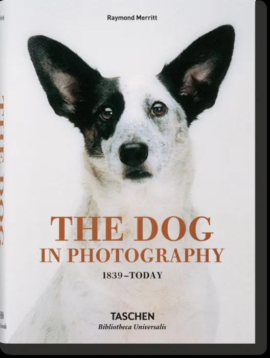 The Dog In Photography 1839Today
