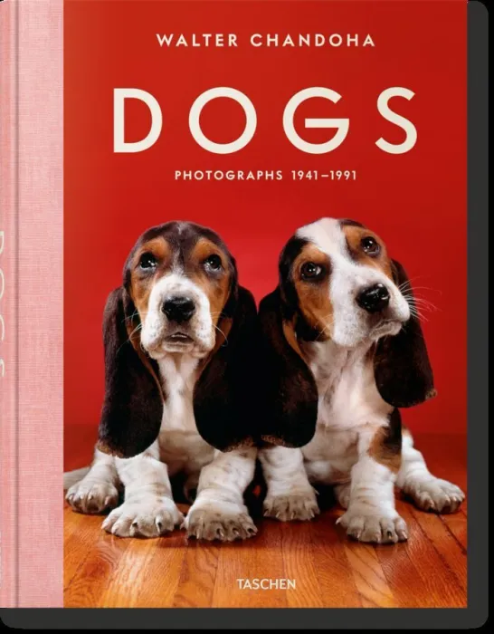 Walter Chandoha. Dogs. Photographs 19411991