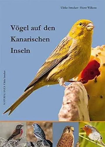 Vogel Auf Den Kanarischen Inseln (Aves Canarias Aleman)