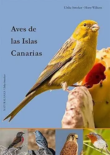Aves de las Islas Canarias