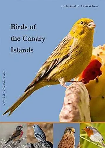 Birds Of The Canary Islands