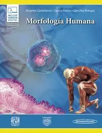 Morfologia Humana