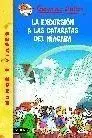 Excursión a las Cataratas del Niágara, la