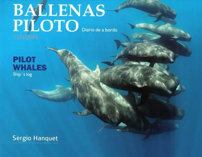 Mar Abierto. Islas Canarias - Ballenas Piloto. Tenerife