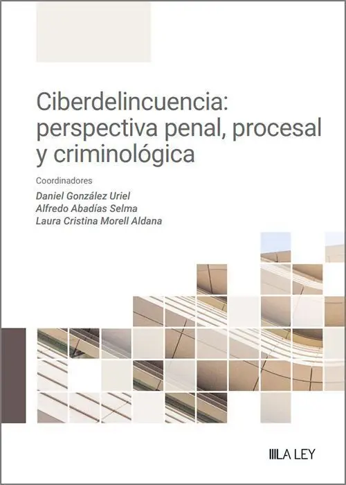 Ciberdelincuencia: Perspectiva Penal, Procesal y Criminológica