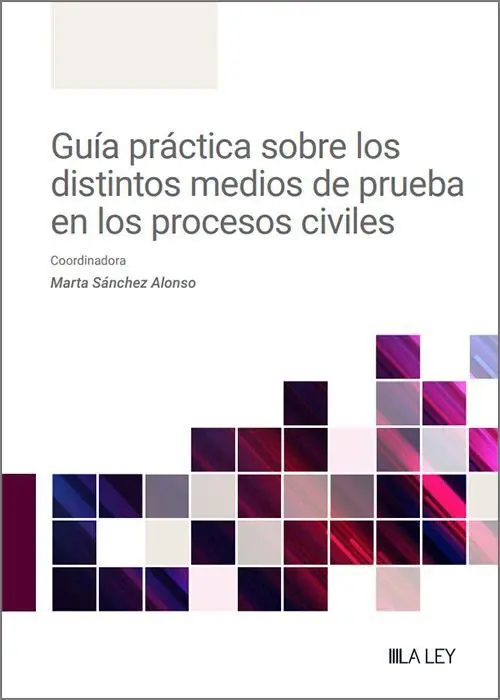 Guia Practica Sobre los Distintos Medios de Prueba en los Procesos Civiles