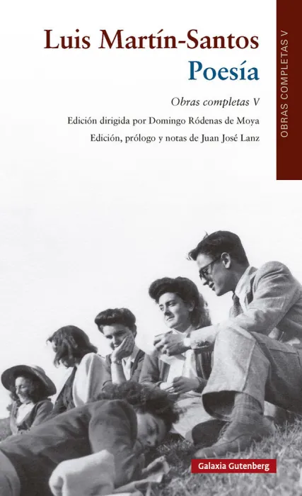Poesía. Obras Completas V