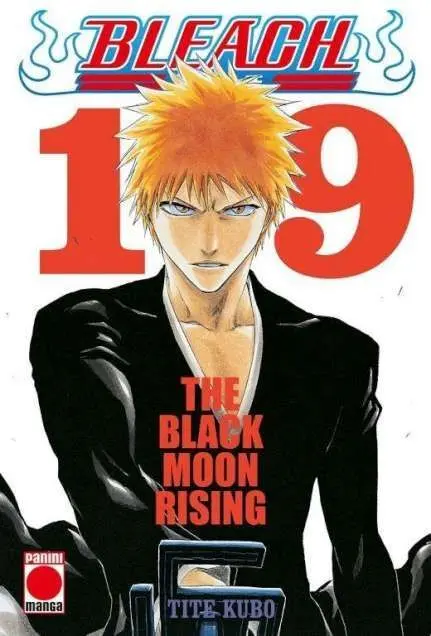 Bleach 19