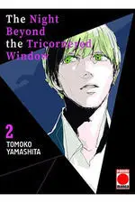 Night Beyond The Tricornered Window 02