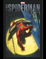 Yo Soy Spiderman