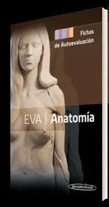 Eva-Anatomía. Fichas de Autoevaluación