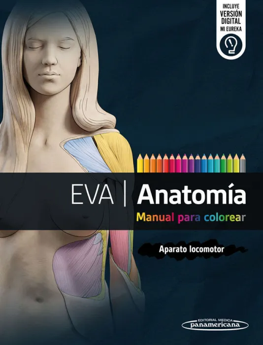 Eva Anatomia Manual para Colorear. Aparato Locomotor