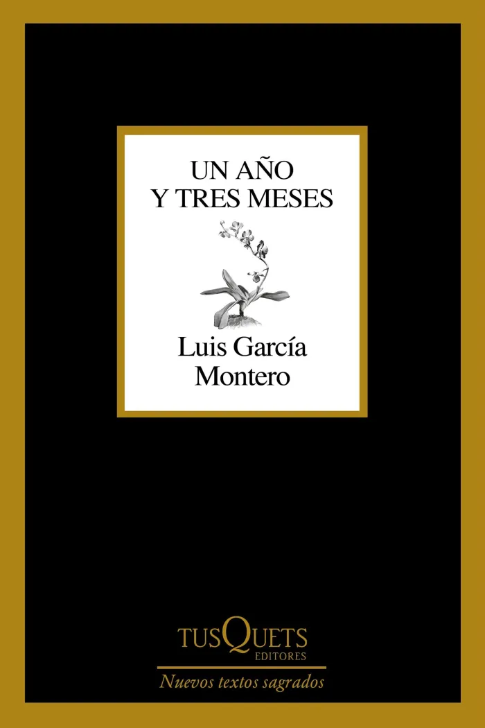 Un Año y Tres Meses