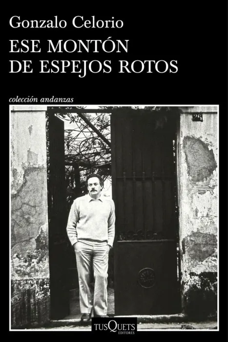Ese Montón de Espejos Rotos
