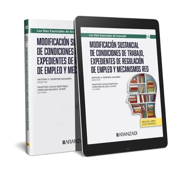 Modificación Sustancial de Condiciones de Trabajo, Expedientes de Regulación Tem