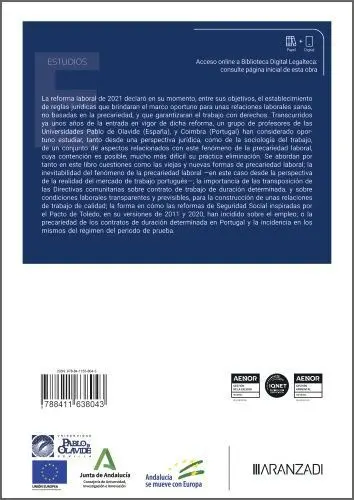 Precariedad Laboral y Su Futuro, la