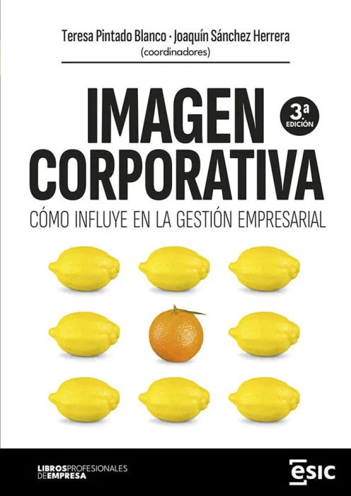 Imagen Corporativa. Como Influye en la Gestión Empresarial
