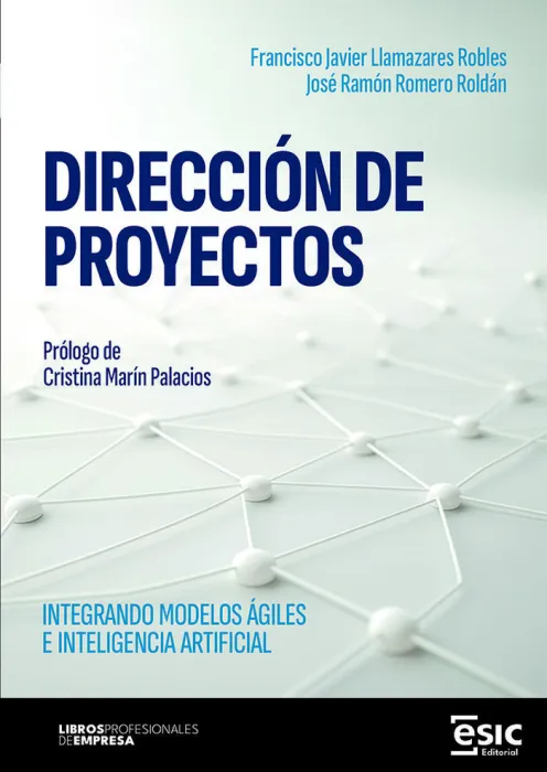 Dirección de Proyectos