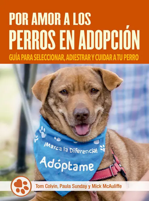 Por Amor a los Perros en Adopción