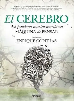 El Cerebro