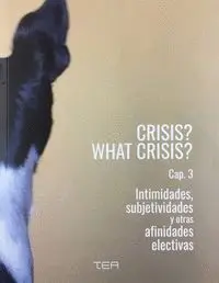 Crisis? What Crisis? Cap. 3 Intimidades, Subjetividades y Otras Afinidades Electivas