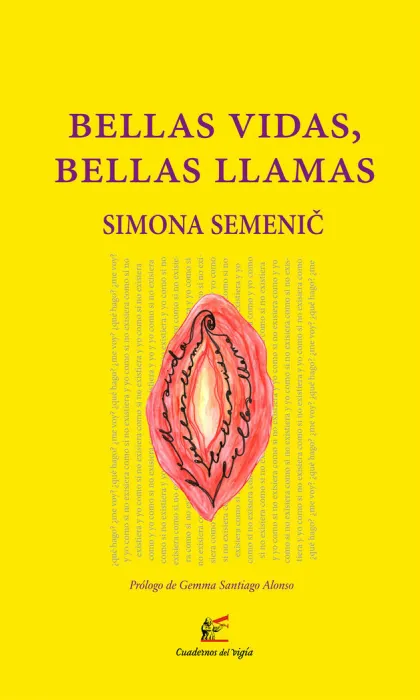 Bellas Vidas, Bellas Llamas