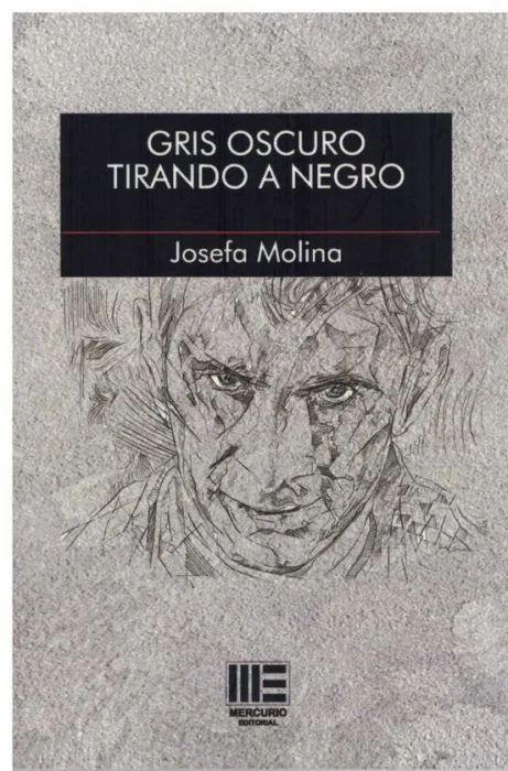 Gris Oscuro Tirando a Negro