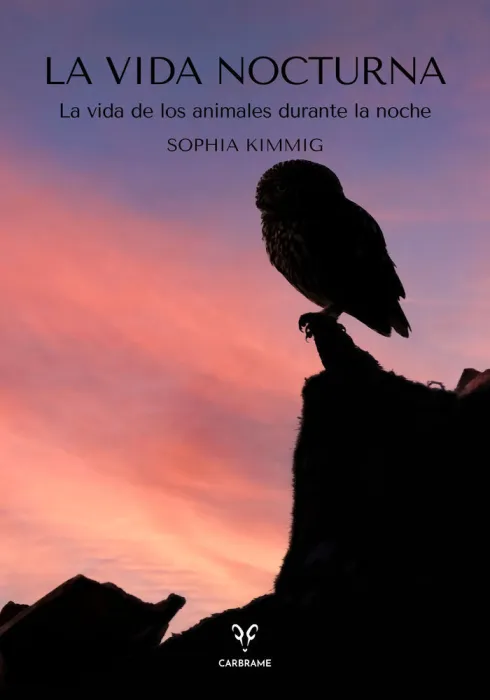 La Vida Noctura