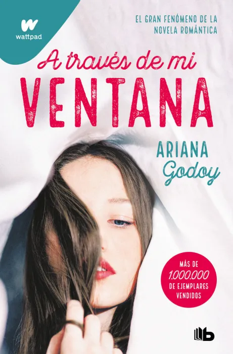 A Traves de mi Ventana (Trilogía Hermanos Hidalgo 1)