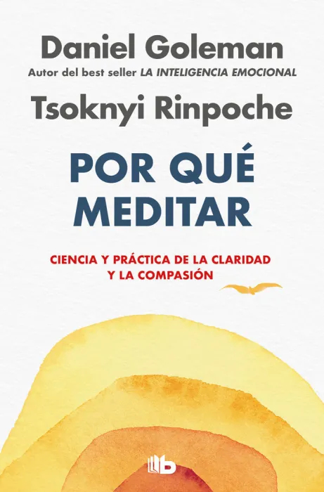Por que Meditar