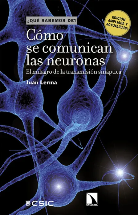 Cómo se Comunican las Neuronas