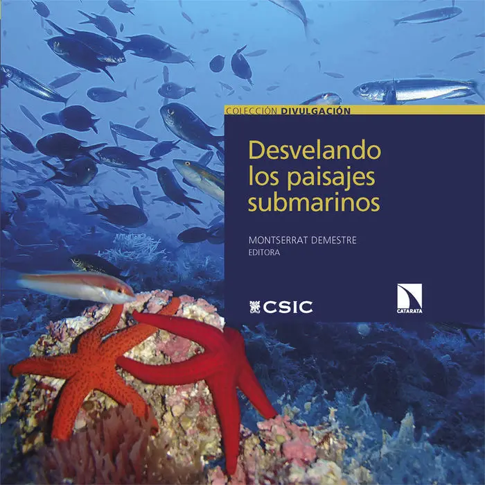 Desvelando los Paisajes Submarinos