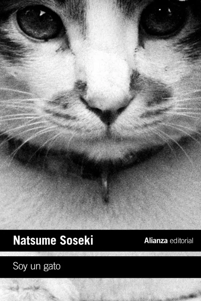 Soy un Gato