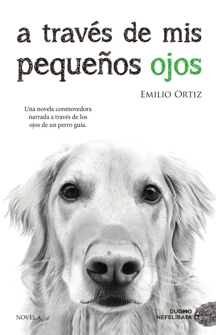 A Través de Mis Pequeños Ojos