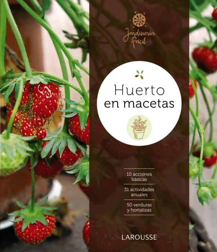 Huerto en Macetas