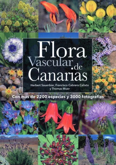 Flora Vascular de Canarias (Actualizada)