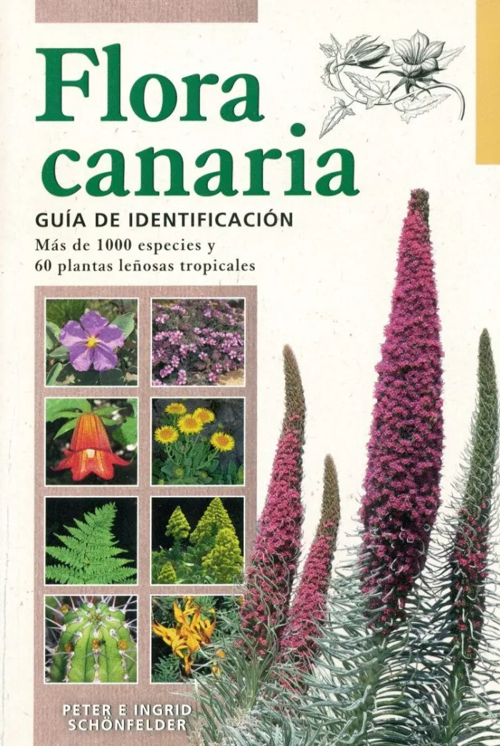 Flora Canaria. Guia de Identificacion
