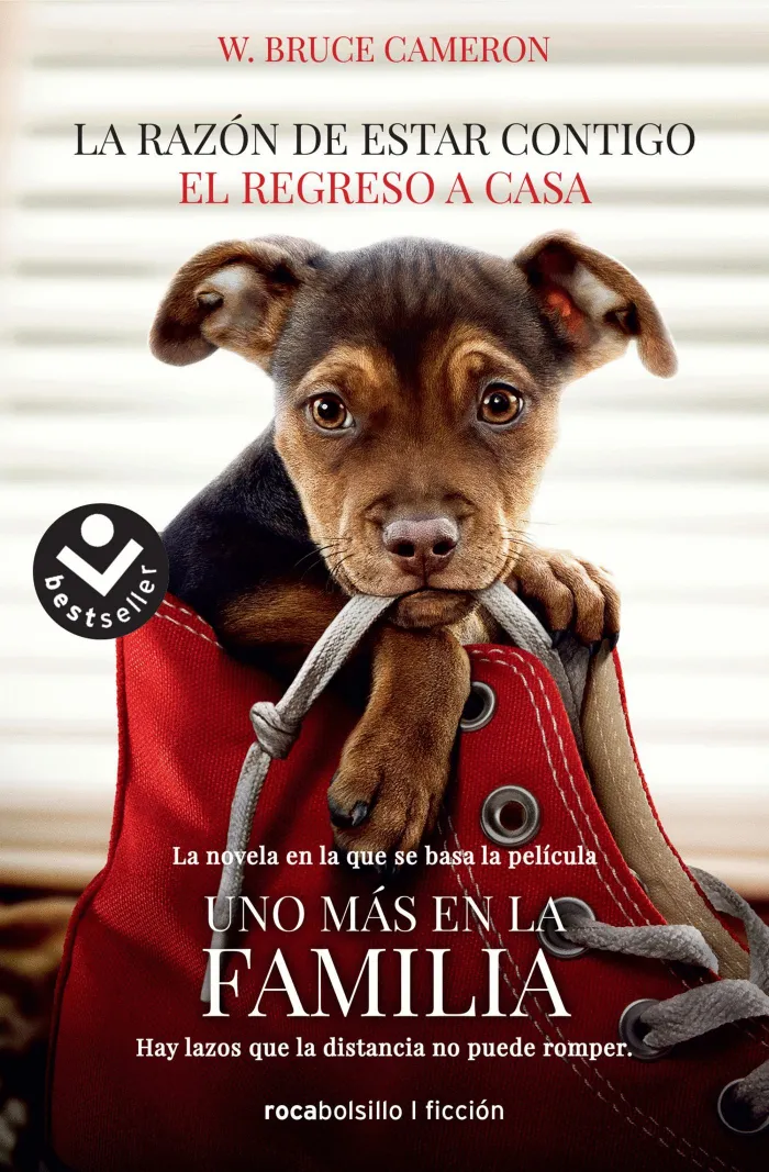 La Razón de Estar Contigo. El Regreso a Casa
