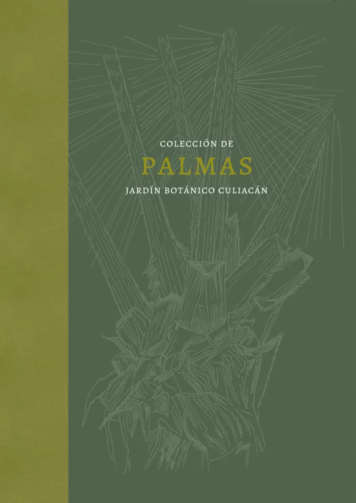 Colección de Palmas. Jardín Botánico Culiacán