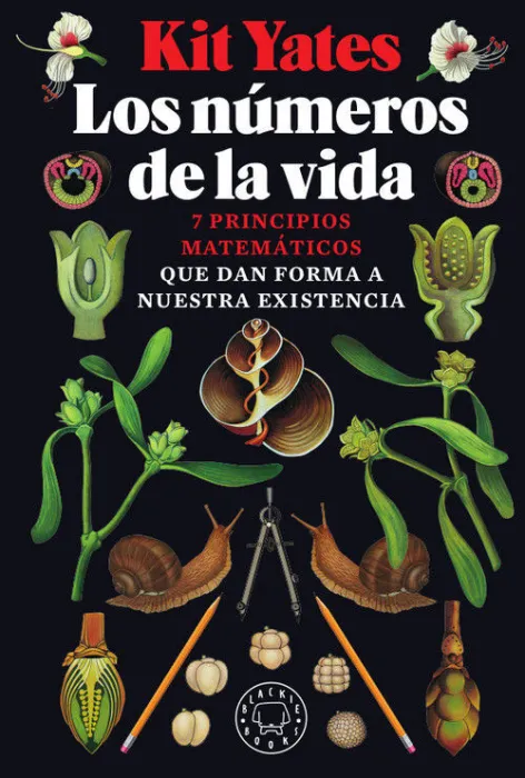 Los Números de la Vida