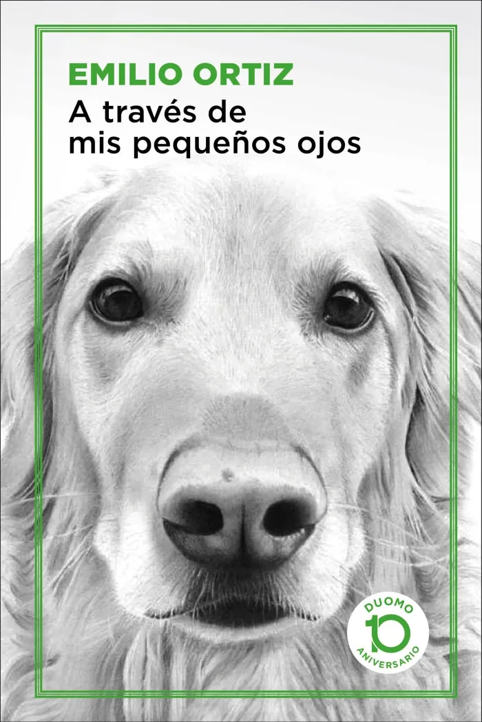 A Través de Mis Pequeños Ojos