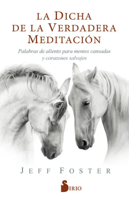 La Dicha de la Verdadera Meditación