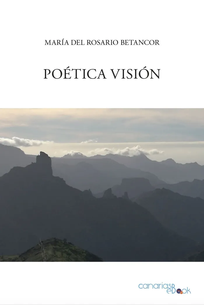 Poética Visión