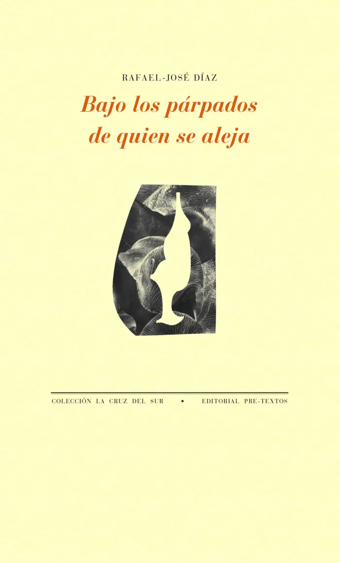 Bajo los Parpados de Quien se Aleja